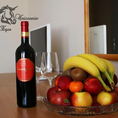 Unicornis Hotel Eger